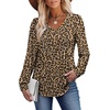 image:imageAlaroo Long Sleeve Shirts for Women V Neck Tops Pleated Tunic PrintPrint 07