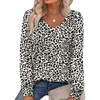 Print 33